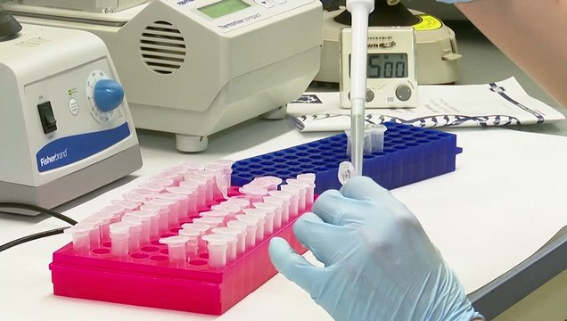 OMS cree que a finales de año estarán disponibles millones de dosis de vacunas