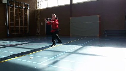 Tai Chi Taijiquan Ng Ying - Patrick van Steen - Apeldoorn Netherlands