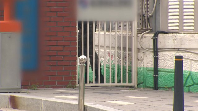 [뉴있저] 여단장이 폭언 ...잇따라 제기된 군 갑질 논란 / YTN