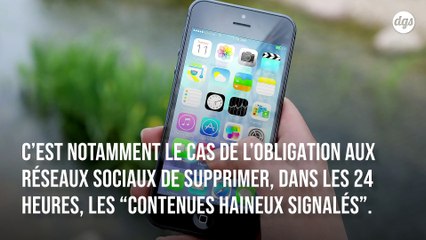 La très controversée loi Avia contre les contenus haineux rejetée par le Conseil constitutionnel