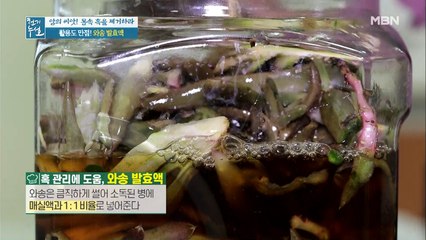 활용도 만점! 초간단 [와송 발효액]