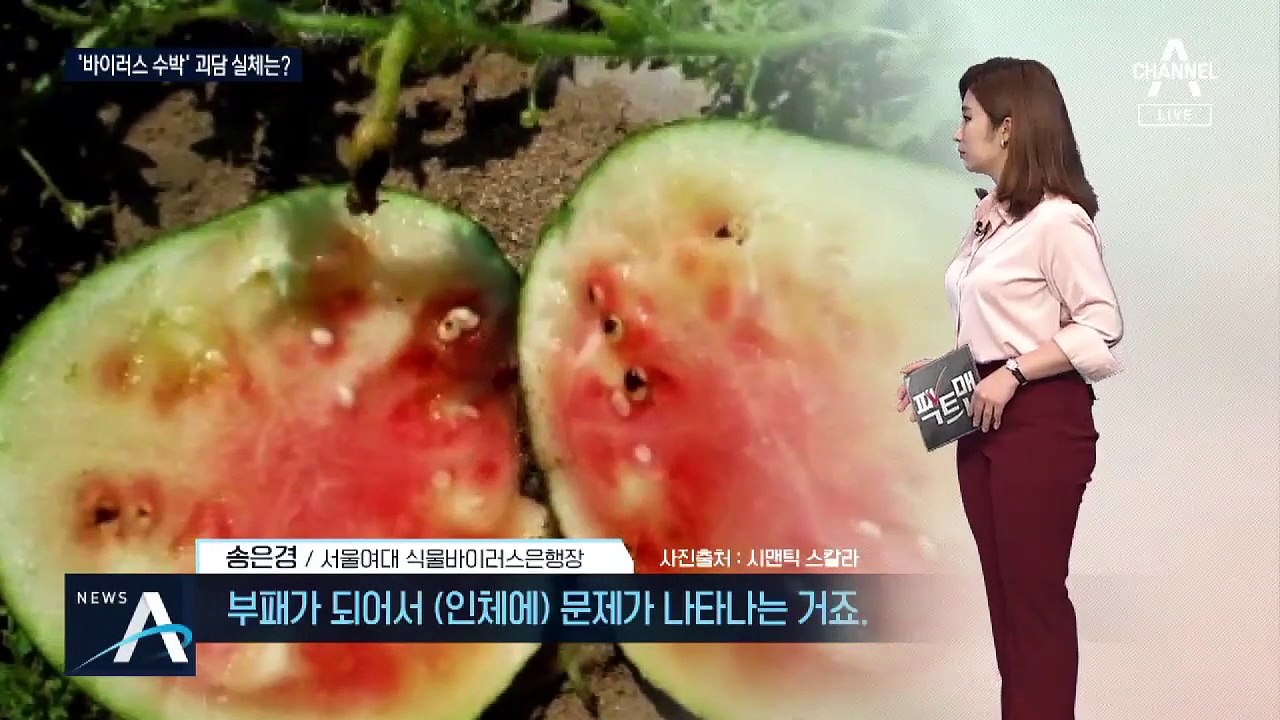 [팩트맨]‘소용돌이’ 있으면 감염?…수박 괴담, 실체는