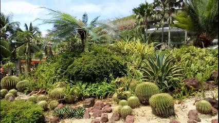 Malaysia's lush man-made Forest City is set to home 700,000