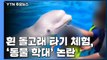 '멸종 위기' 흰 돌고래 타기...'동물 학대' 논란 / YTN