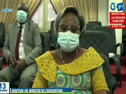 RTG/Audition du ministre de l’agriculture Biendi Maganga à l’assemblée nationale, par les députés membres de la commission de la planification des affaires économiques de la production et du développement