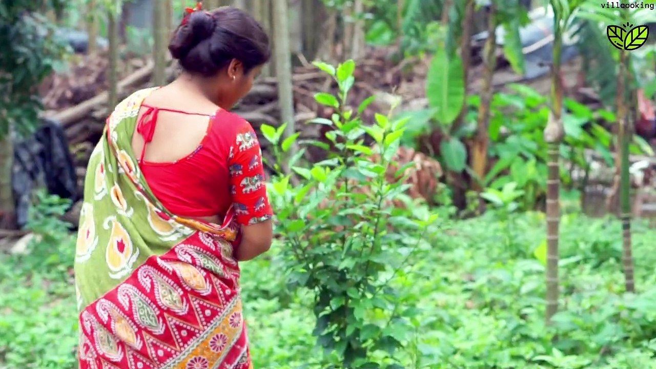 Harvesting Super testy Begun ( eggplant) And cook with County Chicken Eggs in my homeland