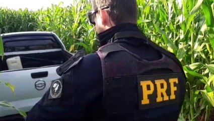 Operação Flagellum: carro é apreendido com 138 tabletes de maconha