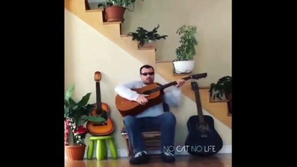 BEST FUNNY ANIMAL FAILS COMPILATION ll FAILS ll FUNNY MOMENTS