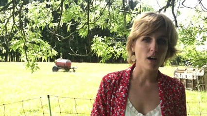 Céline Telier : "La Wallonie veut développer une cohabitation harmonieuse entre le loup et l'homme"