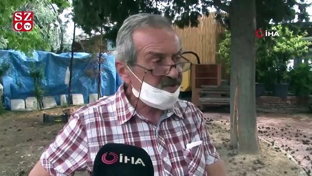 Yağmurdan korunmak için ağaç altına saklanan adam, yıldırım çarpması sonucu öldü