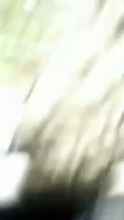 Cyclone