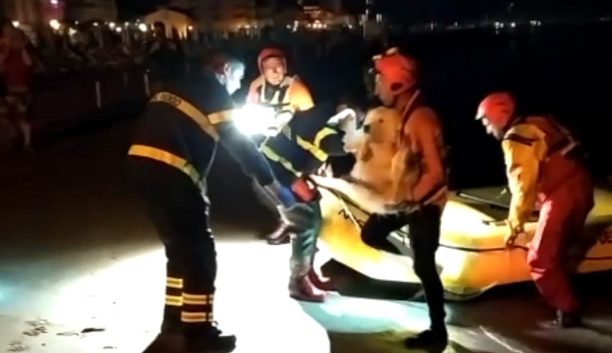 Gatteo Mare (FC) - Salvato cane finito in mare (19.06.20)