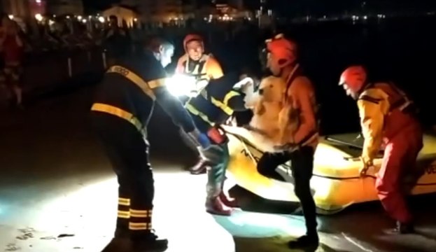 Gatteo Mare (FC) - Salvato cane finito in mare (19.06.20)