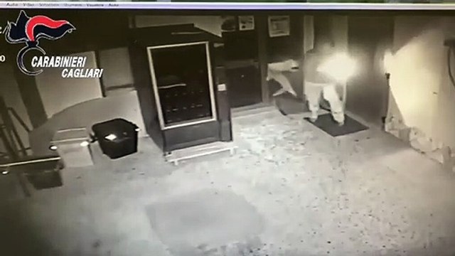 Cagliari - Furti e rapine in chiese e farmacie arrestata coppia (19.06.20)