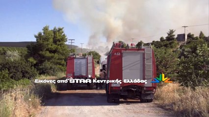 Συναγερμός για την φωτιά στο Μαρτίνο