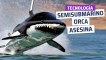 [CH] El semisubmarino orca asesina