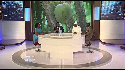 Made In Africa | Les secrets de la mangue en Côte d'Ivoire.