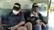 Colombia: liberados dos extranjeros secuestrados por disidentes de las FARC