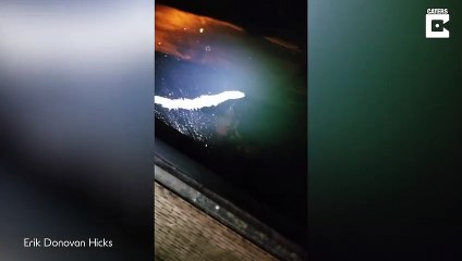 Un mille-pattes marin terrifiant filmé en alaska