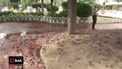 Yağmurdan kaçarken yıldırıma yakalandı! Büyükçekmece'de feci ölüm