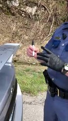 Officer Signs Car Spoiler