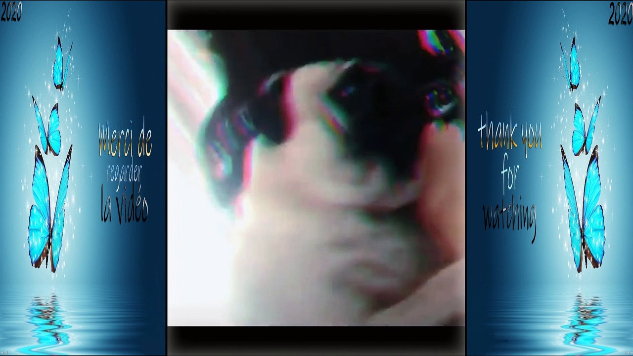 Funny doge Cute and Baby dogs Videos Compilation # funny-animal #24