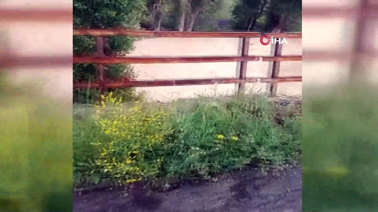 Etkili olan yağış sonrası tarım arazileri ve evleri su bastı