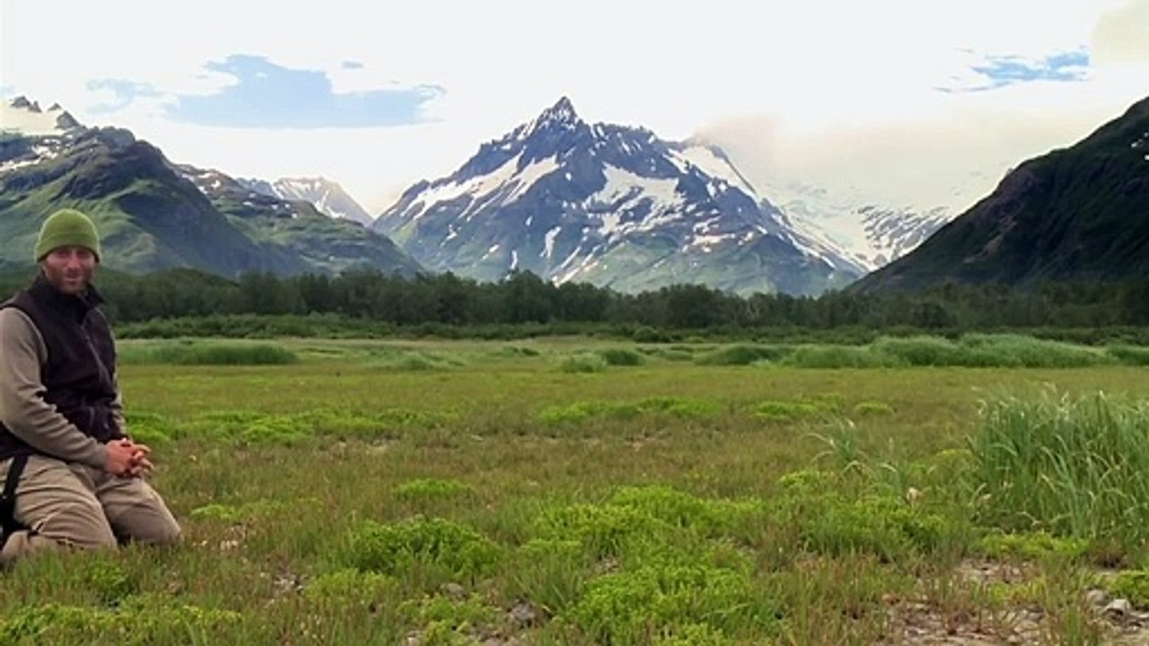 Der Bär in mir Film