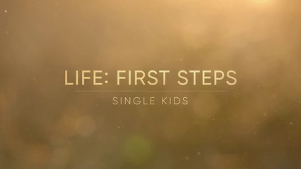 Life- First Steps 1of3 - Single Kids - Special Wildlife HD Documentary