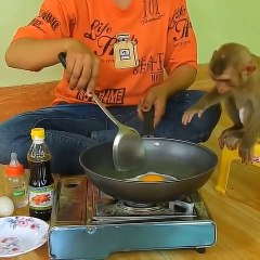 Monkey Beby Hungry .. Eating