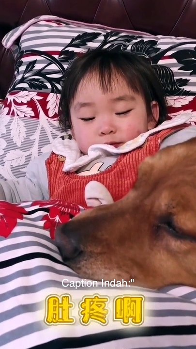 Dog loves Beby