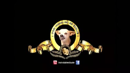 ¿Para cuando el pico ? de Las Inolvidables_HOY - Guatevision Noticias