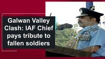 Galwan Valley clash: IAF Chief pays tribute to martyred jawans