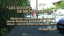 LES SCOOPS DE MICHOU64 W-D.D. - 17 JUIN 2020 - PAU - BOULEVARD BARBANEGRE RÊNOVATION D'UN TROTTOIR ET DES BRANCHES TAILLÉES