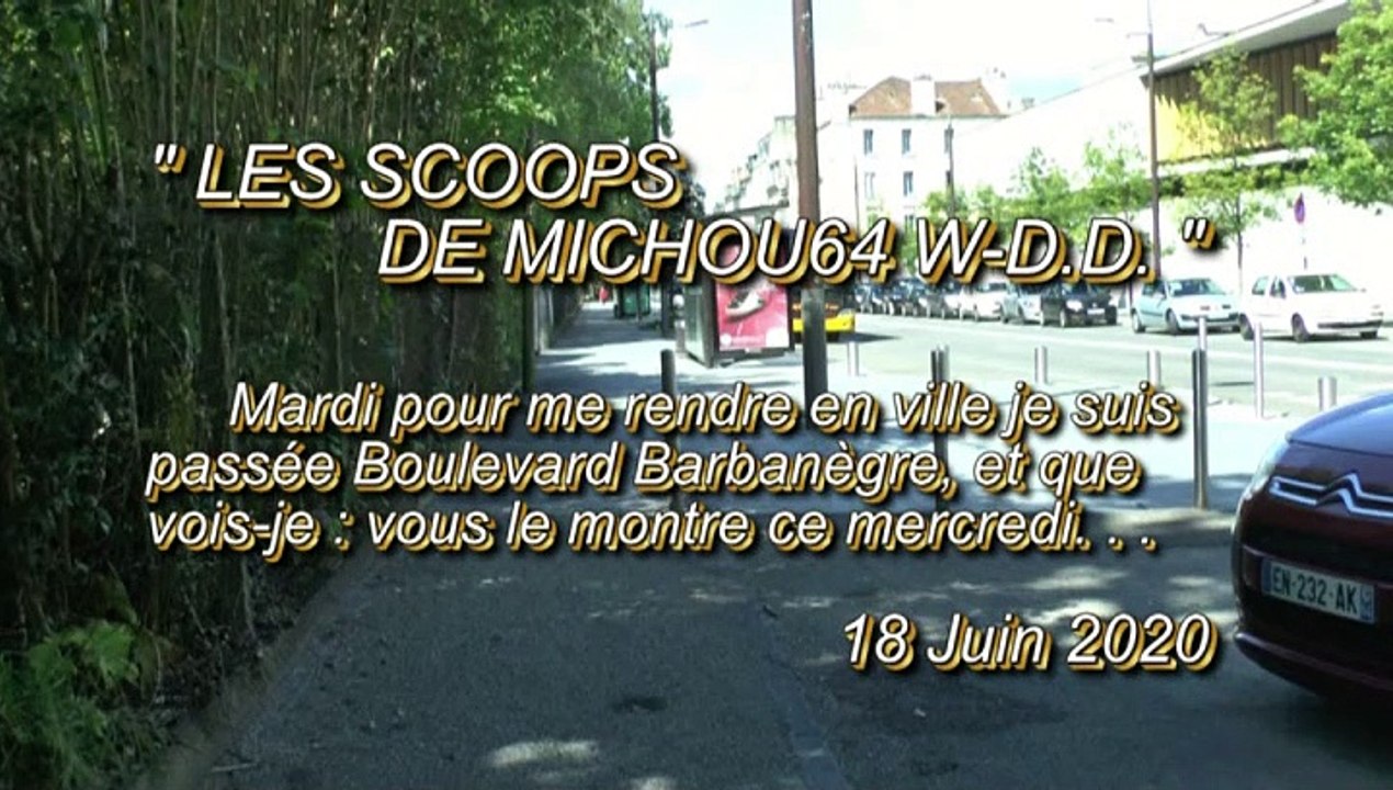 LES SCOOPS DE MICHOU64 W-D.D. - 17 JUIN 2020 - PAU - BOULEVARD BARBANEGRE RÊNOVATION D'UN TROTTOIR ET DES BRANCHES TAILLÉES