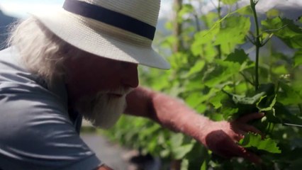 Már kicsit túl meleg van a borszőlőnek Norvégiában