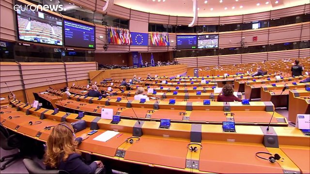 Tutelare gli stagionali . Risoluzione del parlamento europeo