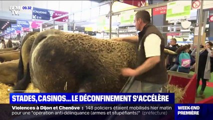 Tải video: Stades, casinos, hippodromes... Le déconfinement s'accélère