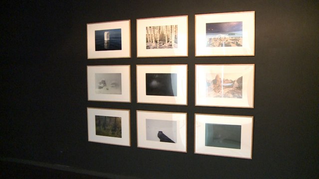 Muestra 'Jardines, Naturaleza domesticada, dimensiones imaginarias'