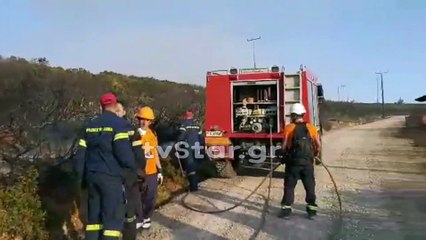 Φωτιά στο Μαρτίνο. Σημαντική η βοήθεια των εθελοντών της ΕΠΟΜΕΑ