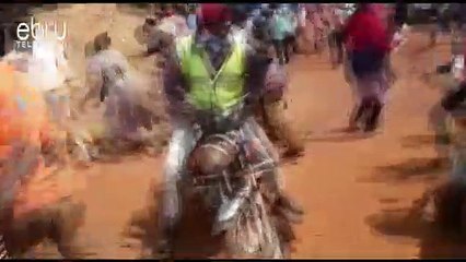 Police Teargas Wetangula Convoy For Flouting Covid-19 Measures