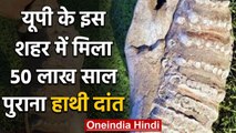 Uttar Pradesh के Saharanpur में बच्चे को मिला 50 लाख साल पुराना दुर्लभ हाथी दांत | वनइंडिया हिंदी