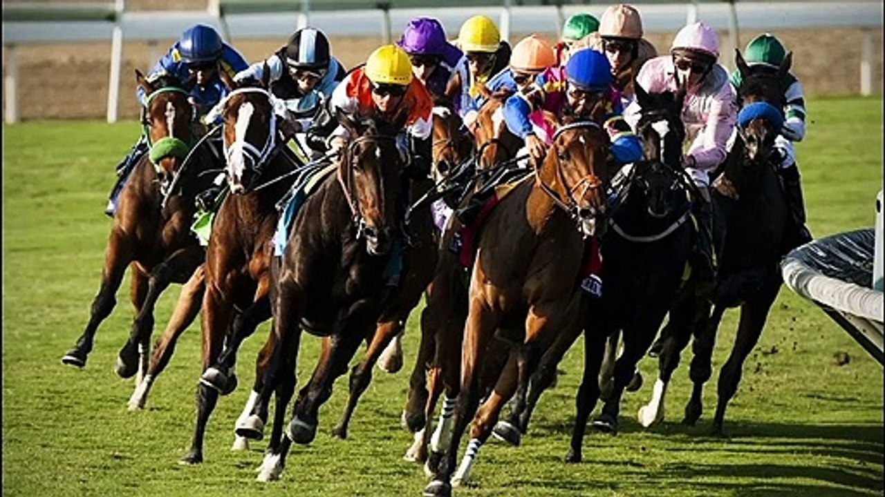 ASCOT CORONATION CUP RACE ANALYSIS 20th JUNE 2020