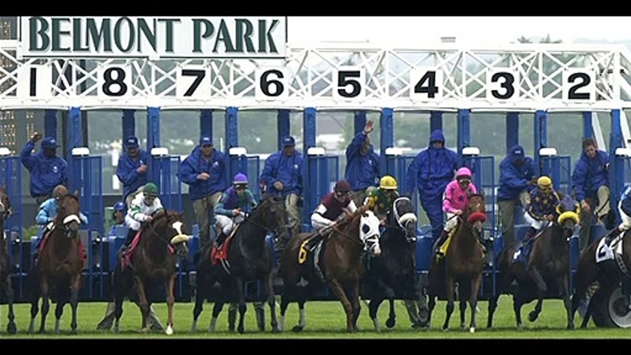 BELMONT PARK STAKES RACE ANALYSIS 20th JUNE 2020