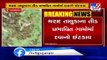 Banaskantha- Authorities on toes as swarm of locusts hit Tharad