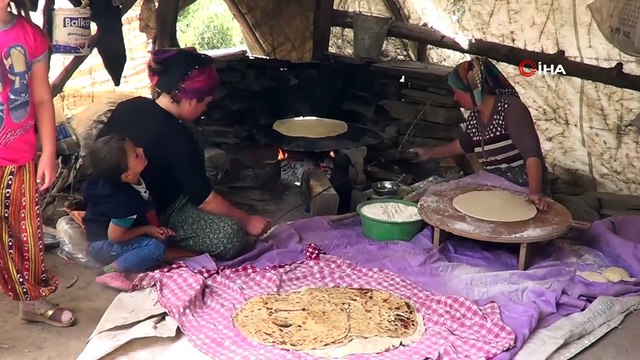 Yörüklerin geleneksel koyun kırkımı şölen havasında yapılıyor