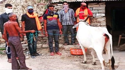 राष्‍ट्रीय गौ-सेवा संघ का अभियान लगातार जारी, ग्राम चेनपुरा में लगाया नाद