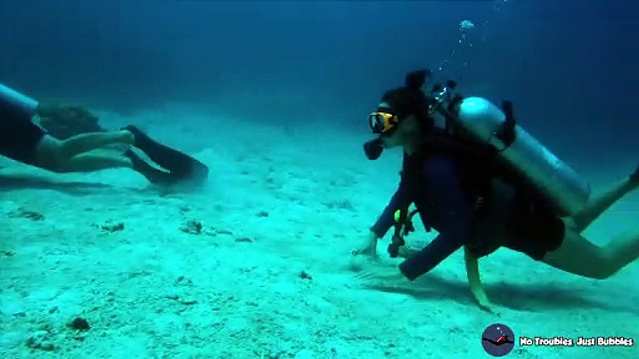 Divers on Sand at Surin Islands with Spotted Garden Eels