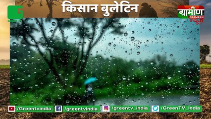 Kisan Bulletin : Madhyapradesh में खत्म हुई Chickpea (चना) खरीदने और बेचने की सीमा : Grameen News