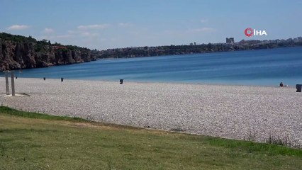 Kısıtlamayı ihlal edip denize girenler polisten kaçamadı